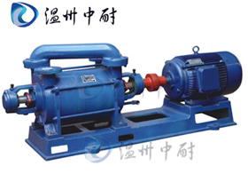 2SK型兩級水環(huán)式真空泵
