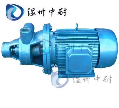 1W系列單級(jí)漩渦泵